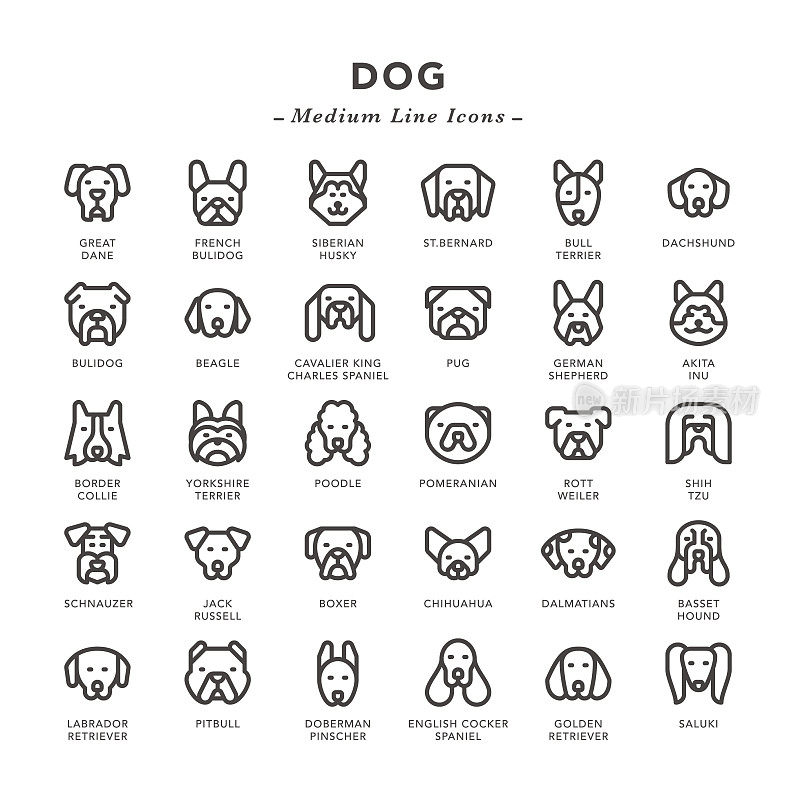 Dog - Medium Line Icons
